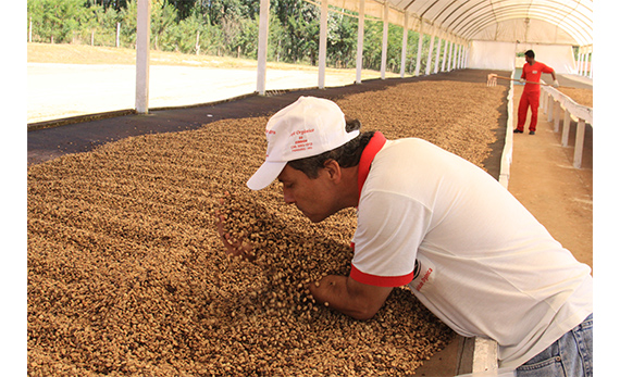 コーヒーのイメージ2